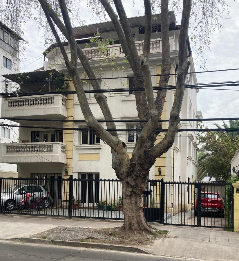 🏢 Activo Inmobiliario Prime en Providencia | Edificio Multifamiliar con Flujo de Caja Inmediato y Alta plusvalia